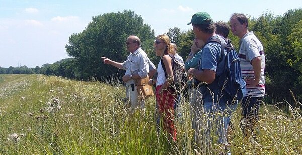 Gruppe auf Exkursion auf einer Wiese