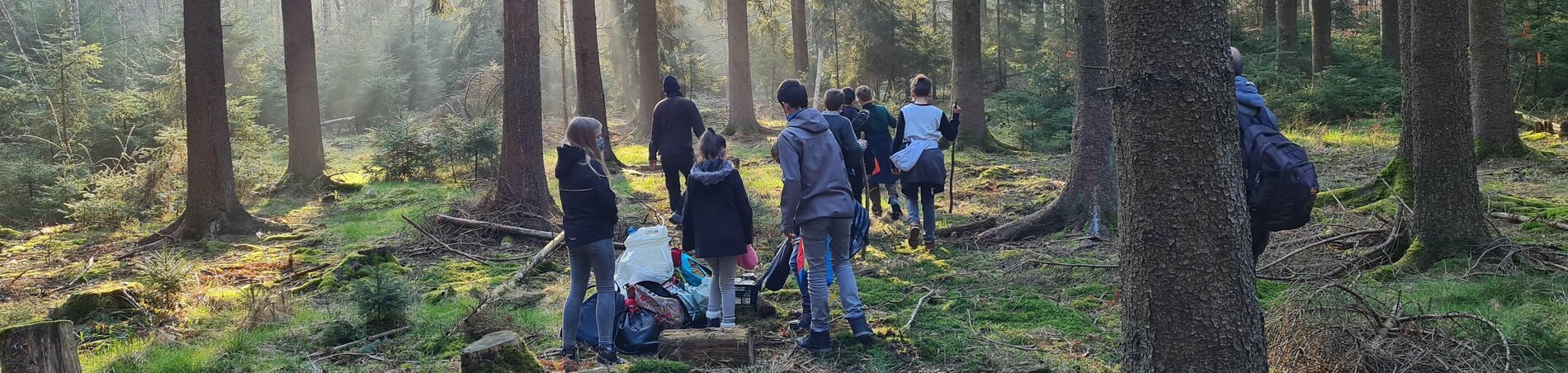 Gruppe im Wald