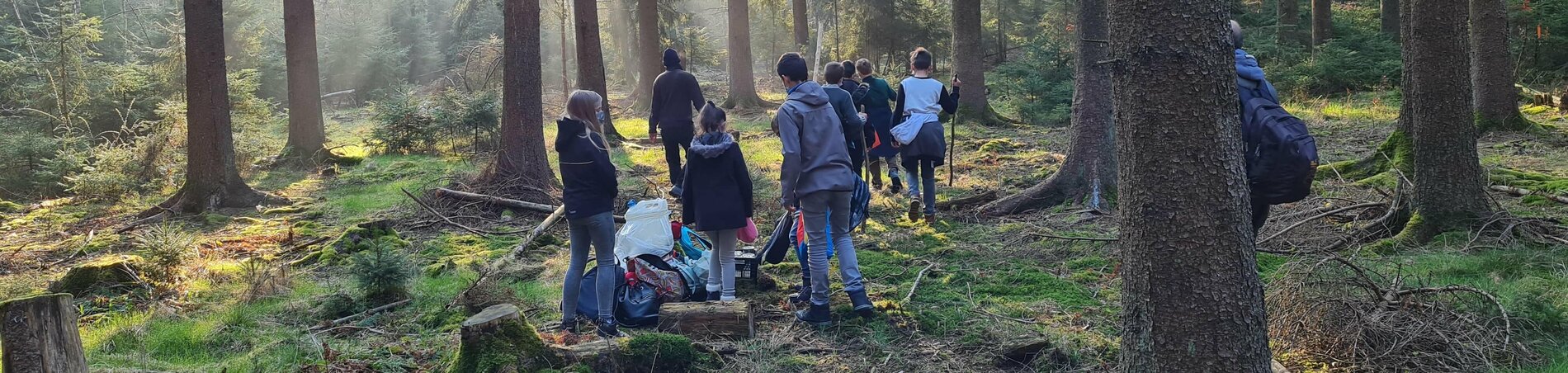 Gruppe im Wald