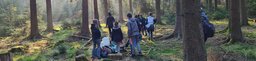 Gruppe im Wald