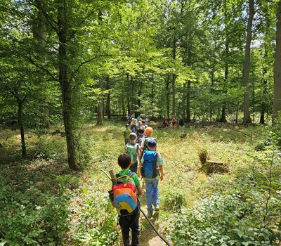 Kinder laufen im Wald